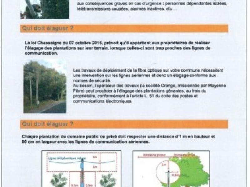 Fibre optique