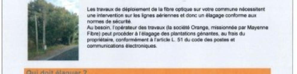 Fibre optique